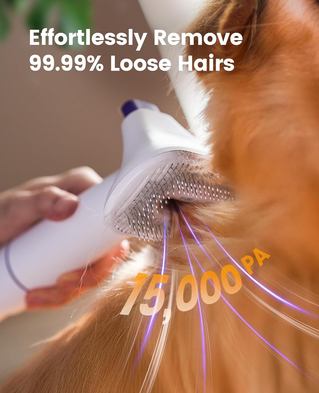 oneisall Dog Hair Vacuum Shedd - đánh giá và giá Grooming Kit