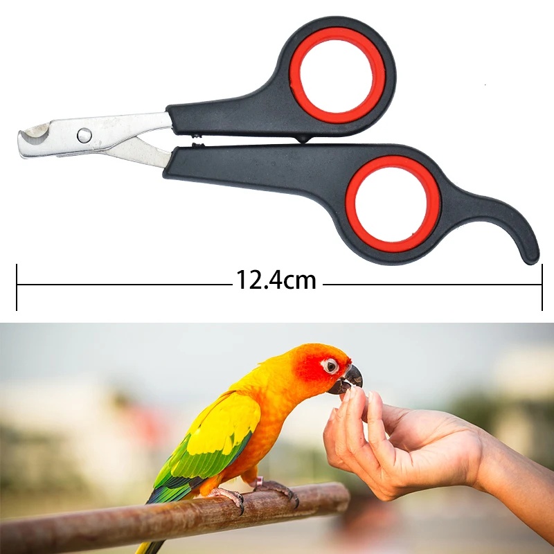 12cm Pet Parrot Nail Scissor D - đánh giá và giá Grooming Scissors