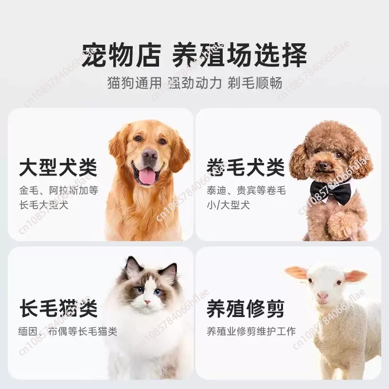 Shernbao Wireless Pet Grooming - đánh giá và giá Grooming Kit