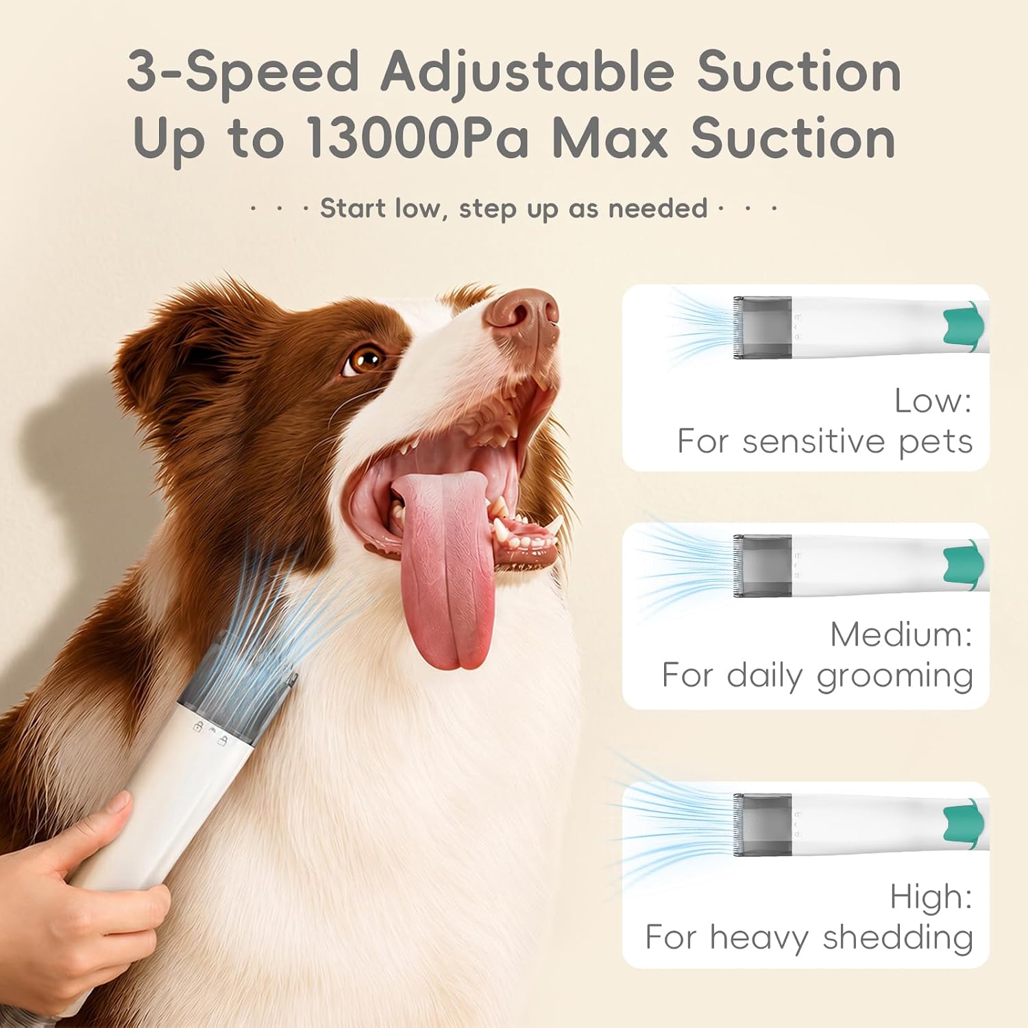 2026 Upgraded Dog Grooming Vac - đánh giá và giá Grooming Kit